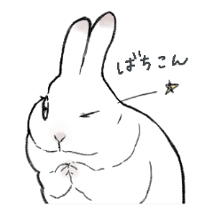 [LINEスタンプ] うさぎ飼いのスタンプ