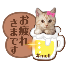 [LINEスタンプ] メルちゃんスタンプ^_^