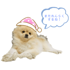 [LINEスタンプ] 犬もどきの日常スタンプ！