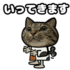 [LINEスタンプ] キジトラ猫動くスタンプ