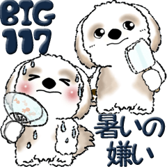 [LINEスタンプ] 【Big】シーズー犬 117『暑いの嫌いです』