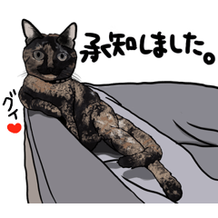 [LINEスタンプ] 敬語♡年中使える犬猫スタンプの画像（メイン）