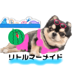 [LINEスタンプ] COCOおじさんのスタンプ