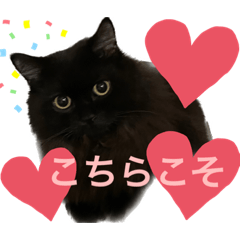 [LINEスタンプ] 黒猫 ルナ院長89にゃんめ