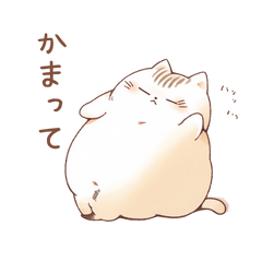 [LINEスタンプ] 毎日使えるぽっちゃり猫