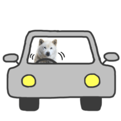 [LINEスタンプ] 抑揚のない犬 2(修正版)