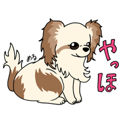 [LINEスタンプ] もちゃのワンだらけスタンプ