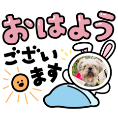 [LINEスタンプ] おりえオリジナルスタンプ