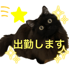 [LINEスタンプ] 黒猫 ルナ院長90にゃんめ