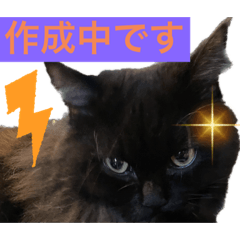 [LINEスタンプ] 黒猫 ルナ院長91にゃんめ