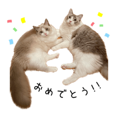 [LINEスタンプ] ルーレイスタンプ