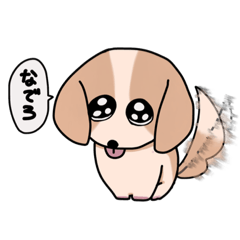 [LINEスタンプ] 家で飼ってるイッヌ(修正)