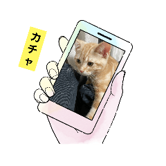 [LINEスタンプ] 仲良しにゃんこ1