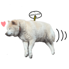 [LINEスタンプ] 抑揚のない犬 5(修正版)