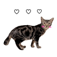 [LINEスタンプ] ルイ(文字あり)