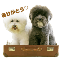 [LINEスタンプ] toynicogram