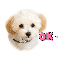 [LINEスタンプ] 山田ぽち太
