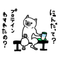 [LINEスタンプ] 筋トレする猫