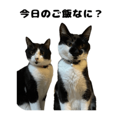 [LINEスタンプ] 福＆藤1