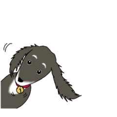 [LINEスタンプ] 鈴をつけた保護犬むぎ