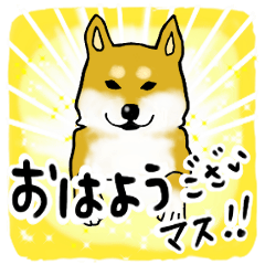 [LINEスタンプ] 柴犬の使えるあいさつ