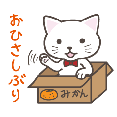 [LINEスタンプ] ねこたろ☆日常スタンプ02