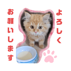 [LINEスタンプ] レオ君スタンプ(あいさつ)1