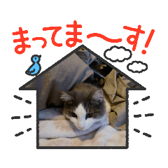 [LINEスタンプ] いろいろとりどり10