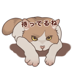 [LINEスタンプ] ねむくんスタンプ！