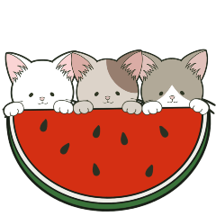 [LINEスタンプ] 【ねこ組】文字なしde飛び出す【梅雨•夏】