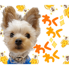 [LINEスタンプ] おにおんと時々ぽてと