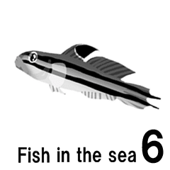 [LINEスタンプ] fish in the sea 6