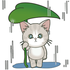 [LINEスタンプ] 【夏だよ】仔猫のぽんにゃん【飛び出す】