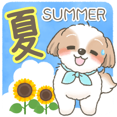 [LINEスタンプ] 【夏の会話】可愛いシーズー犬ちゃん