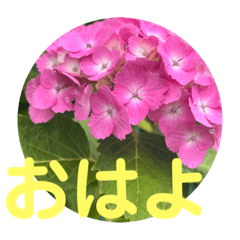 [LINEスタンプ] さとうひろえ④