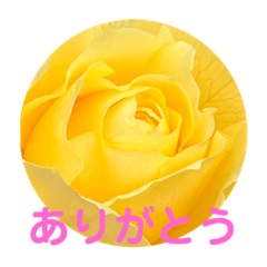 [LINEスタンプ] さとうひろえ⑤