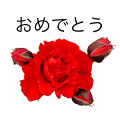 [LINEスタンプ] 花 dodoスタンプ276flowerの画像（メイン）