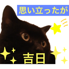 [LINEスタンプ] 黒猫 ルナ院長94にゃんめ