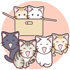 [LINEスタンプ] 顔の丸い4匹の猫