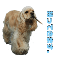 [LINEスタンプ] えるのあさくら3