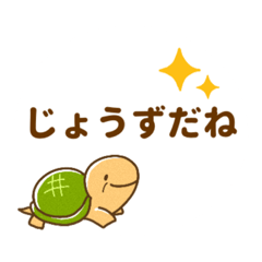 [LINEスタンプ] 孫に送る一言カメさん