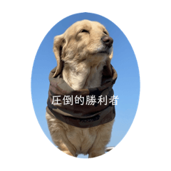 [LINEスタンプ] 圧倒的勝利者②
