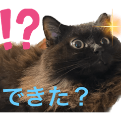 [LINEスタンプ] 黒猫 ルナ院長95にゃんめ