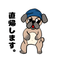 [LINEスタンプ] カツミホーム そらのスタンプ