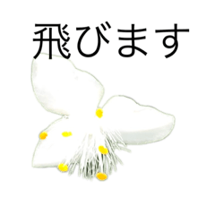 [LINEスタンプ] 花 dodoスタンプ278flower