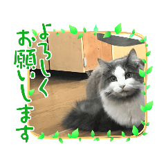 [LINEスタンプ] いろいろとりどり17