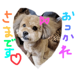 [LINEスタンプ] ramuずくし♡