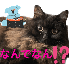 [LINEスタンプ] 黒猫 ルナ院長96にゃんめ