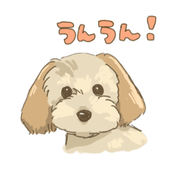 [LINEスタンプ] ここなのスタンプ（犬）