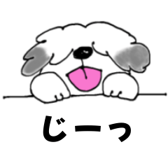 [LINEスタンプ] ずっともふもふでいてね、ワンス